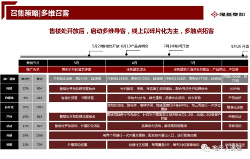 房地產(chǎn)開盤前營銷推廣執(zhí)行案