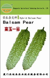 廈門(mén)農(nóng)運(yùn)來(lái)農(nóng)業(yè)技術(shù)服務(wù) 農(nóng)作物種子與種苗產(chǎn)品列表——水果種植篇