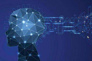 人工智能應用于醫療保健 軟件開發中的潛在風險與倫理警示